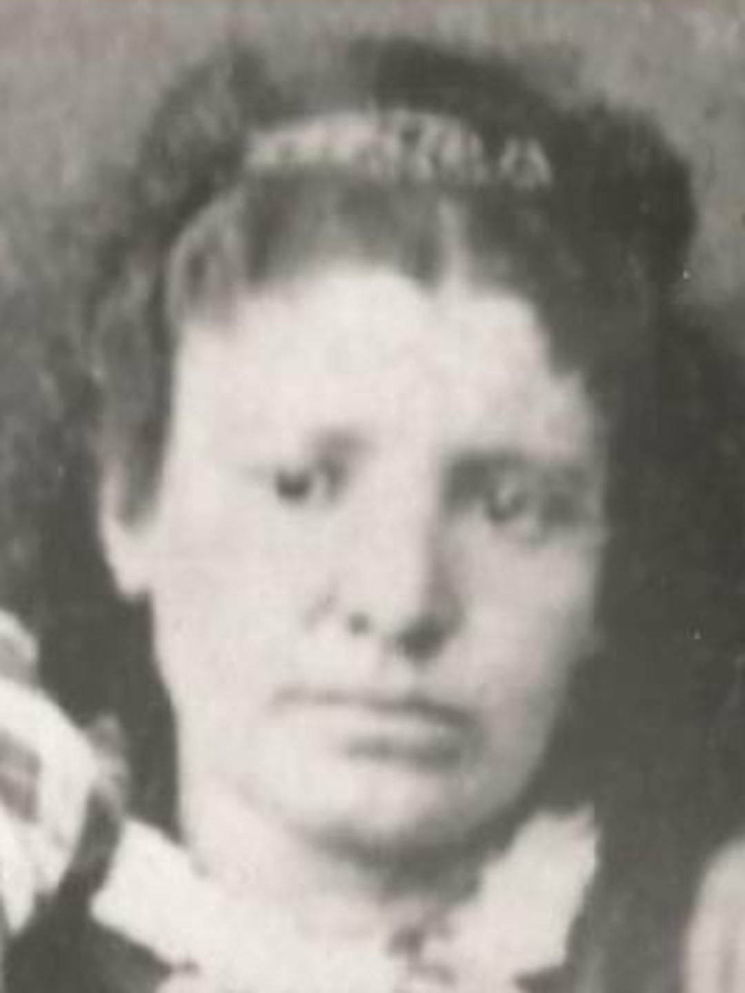 Cesarine Andrez (1838 - 1879) Profile